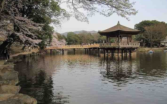 nara park